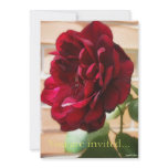 Old Red Rose invitations