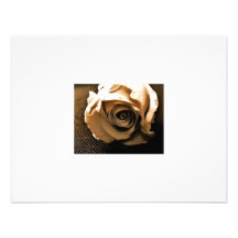Old Rose Invitations