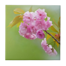 Old Roses Tile