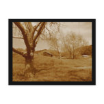 Old Shed Postcard