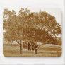 Old Shed Summer Mousepad