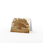 Old Shed Summer Note Card