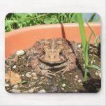 Old Toad ~ mousepad