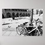 Old Town, Main Market, Krakow, Poland posters