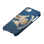 Old Wooden Louisiana Flag; iPhone 5 Covers