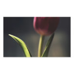 Old World Light, Tulip Stem, artography, Rectangular Sticker