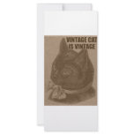 Olde LOLcat Custom Rack Card