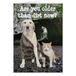 Older than Dirt Birthday Greeting Cards