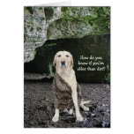 Older than Dirt? Greeting Card