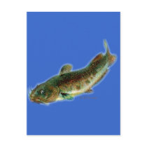 Oldschool style saltwater design
