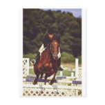 Oldwick Horse Jumping NJ Postcards