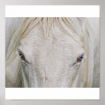 ole blue eyes posters