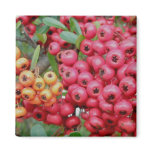 Oleander Berries Coordinating Items magnets