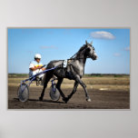 Olev Grey Trotter Poster