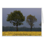 Olfen, Germany cards