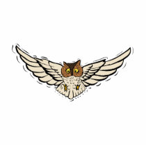 Olinka Owl