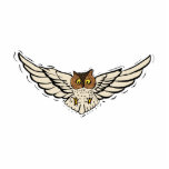Olinka Owl photo sculptures