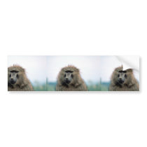 Olive Baboon Bumper Sticker