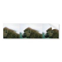 Olive Baboon Bumper Stickers