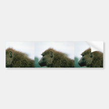 Olive Baboon Bumper Stickers