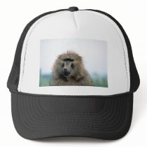 Olive Baboon Mesh Hats