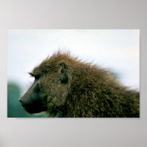 Olive Baboon Print