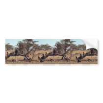Olive Baboons Bumper Sticker