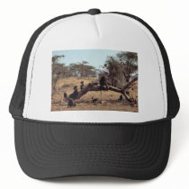 Olive Baboons Trucker Hat