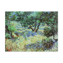 Olive Grove, Vincent van Gogh Post Card