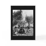 Olive Harvest Palestine 1886 cards