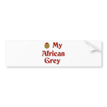 Olive (I Love) My African Grey