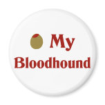 Olive (I Love) My Bloodhound magnets