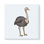 Olive Ostrich magnets