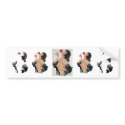 Olive Thomas bumper stickers