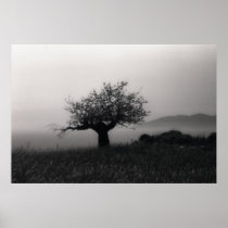 Olive Tree by the Sea Poster