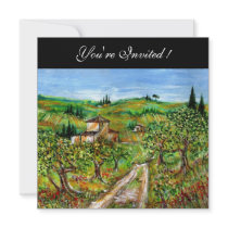 OLIVE TREES IN TUSCANY, green black