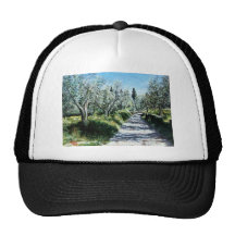 OLIVE TREES IN TUSCANY HAT