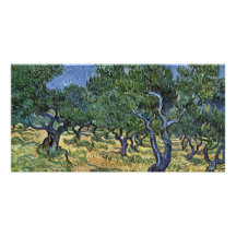 Olivenhain By Vincent Van Gogh Photo Greeting Card