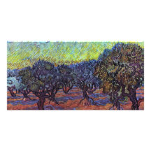 Olivenhain By Vincent Van Gogh Customized Photo Card