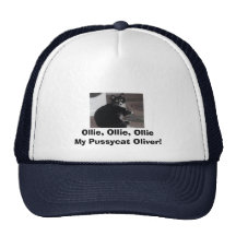 oliver, Ollie, Ollie, Ollie My Pussycat Oliver! Hat
