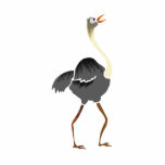 Oliver Ostrich Photo Cut Outs