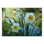 Oliver's Orchard cards