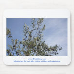Olives Against A Blue Sky mousepads