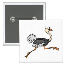 Ollie Ostrich Buttons
