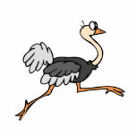 Ollie Ostrich photo sculptures