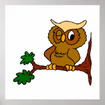 Olly Owl
