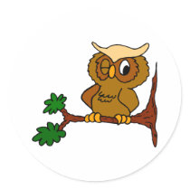 Olly Owl