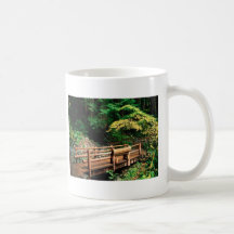 Olympic National Park 2, WA Mugs