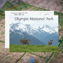 Olympic National Park Postcard