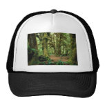 Olympic National Park, WA 2 Mesh Hat